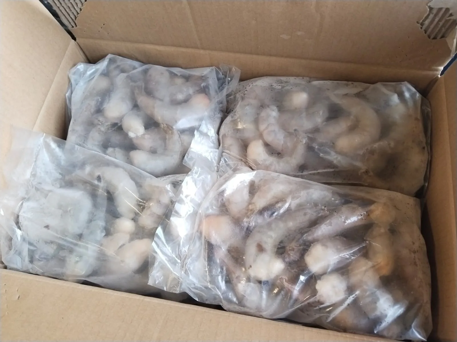 UDANG KUPAS FROZEN JUMBO